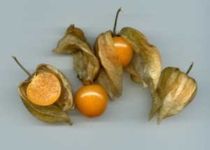 Les physalis peruviana pour la santé